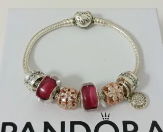 Par de Clips Pandora Plata