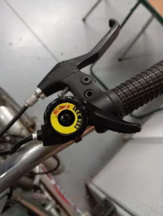 Bicicleta plegable urbana plateada