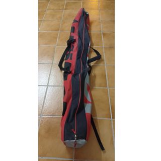 Esquíes Dynastar + 4 bastones y bolsa