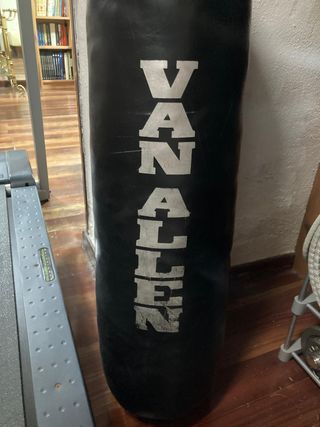 Saco de boxeo VAN ALLEN colgante
