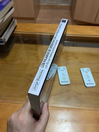 Los pájaros se orientan con la física cuántica ...