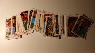 49 cromos Selección Española