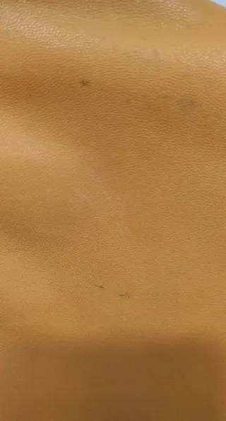 Chaqueta de piel ovina Talla 42