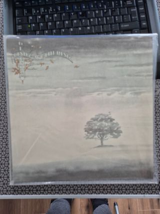 Vinil Genesis – Wind & Wuthering