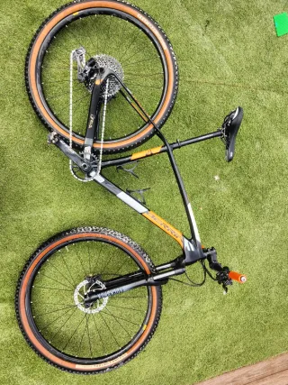 Berria Bravo 2019 Talla M