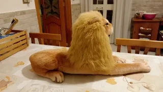 Grande Peluche Leone Realistico