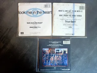 Lote 9 Vinilos Tina Turner Pop Rock