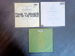 Lote 9 Vinilos Tina Turner Pop Rock