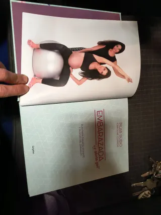 Libro Embarazada ¿Y ahora que?