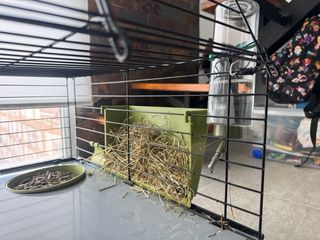 Jaula para mascotas: cobaya o conejo