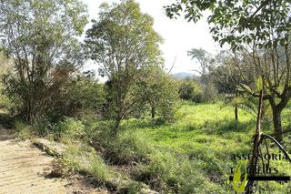 Chalet en venta en Torrelles de Llobregat