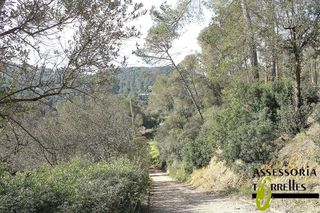 Chalet en venta en Torrelles de Llobregat