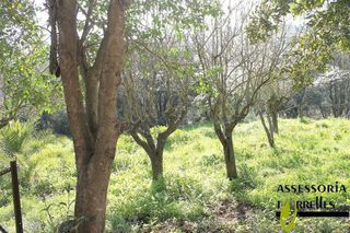 Chalet en venta en Torrelles de Llobregat