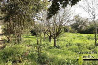 Chalet en venta en Torrelles de Llobregat