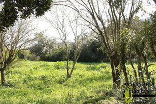 Chalet en venta en Torrelles de Llobregat