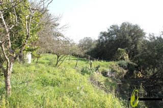 Chalet en venta en Torrelles de Llobregat