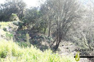 Chalet en venta en Torrelles de Llobregat