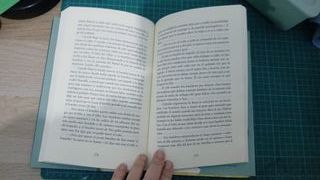 Libro la mirada del lobo