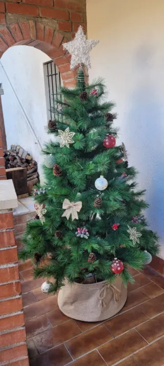 Abeto Orion 180 cm