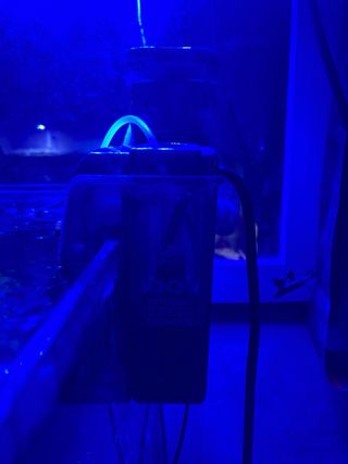 Acuario Marino Pecera Completa