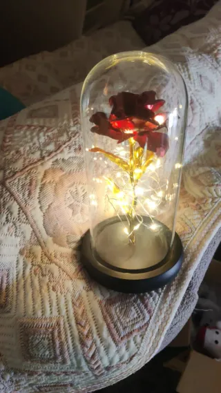 Rosa de la dama y la bestia en urna de cristal