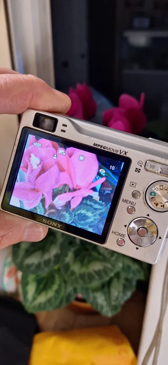 Cámara Digital Sony Cyber-shot DSC-W90