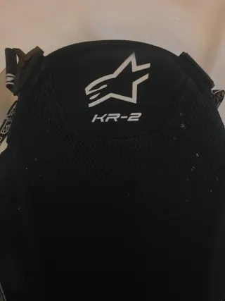 Espaldera Alpinestars KR-2