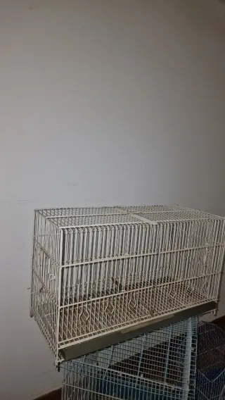 Jaula rectangular 60x40x27