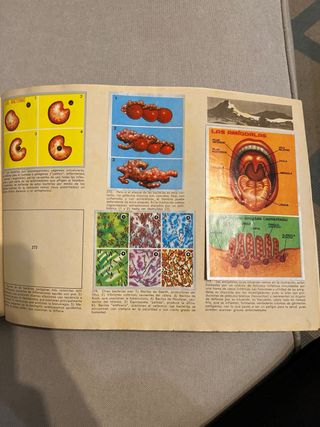 Álbum MAGA CIENCIAS. Año 1971.