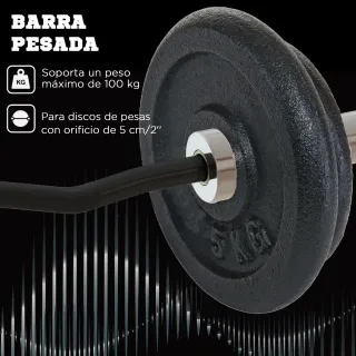 Barra Curl EZ Acero 120cm + 2 Discos