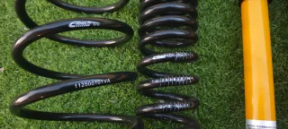 Muelles Eibach ProKit + Suspension Blistein B8