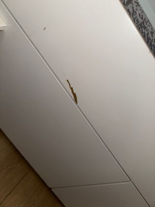 Cama nido con cajones y mesitas noche y somiers