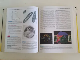 Brock, Biologia de Los Microorganismos, 10 edic...