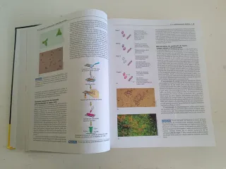 Brock, Biologia de Los Microorganismos, 10 edic...
