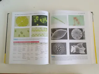 Brock, Biologia de Los Microorganismos, 10 edic...