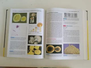 Brock, Biologia de Los Microorganismos, 10 edic...