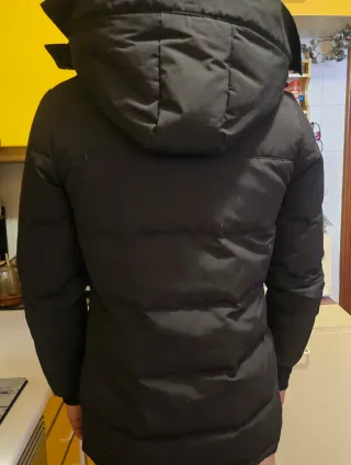 Plumífero Canada Goose T S con Capucha.