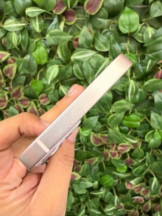 iPhone 13 Rosa 128GB