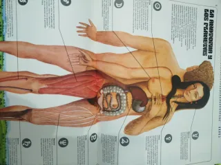 Enciclopedia Práctica De La Astrología