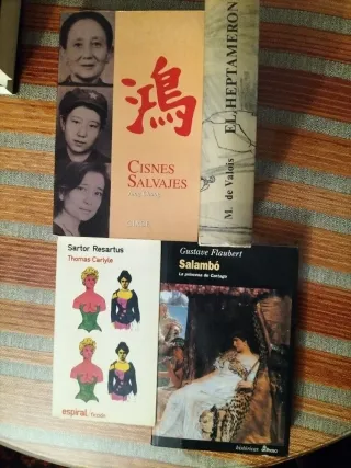 Lote 16 libros. Trópico de cáncer, El hereje, etc.