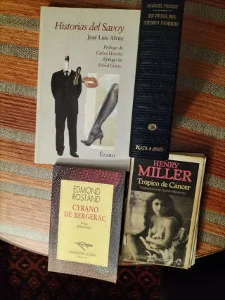 Lote 16 libros. Trópico de cáncer, El hereje, etc.