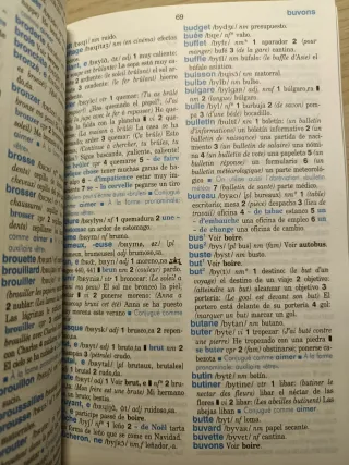 Diccionario francés-español y viceversa