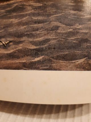 Historia de la navegación