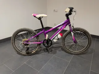 Bicicleta Infantil 20 Morada