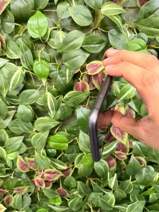 iPhone 11 64GB Negro