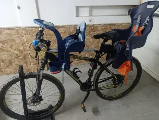 Bicicleta Biocycle Talla L