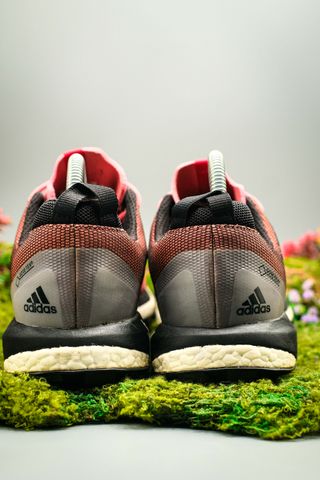 Adidas Terrex Agravic Gx 40 Donna | Sneakers Corsa