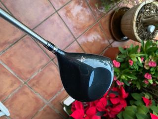 Madero 5 King Cobra Speed LD