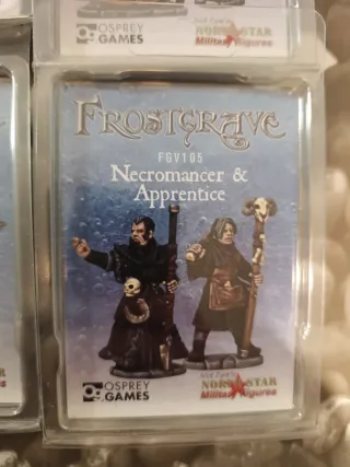 Miniaturas Frostgrave (Osprey Games)
