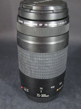 Obiettivo Canon EF 75-300mm f4-5.6 II